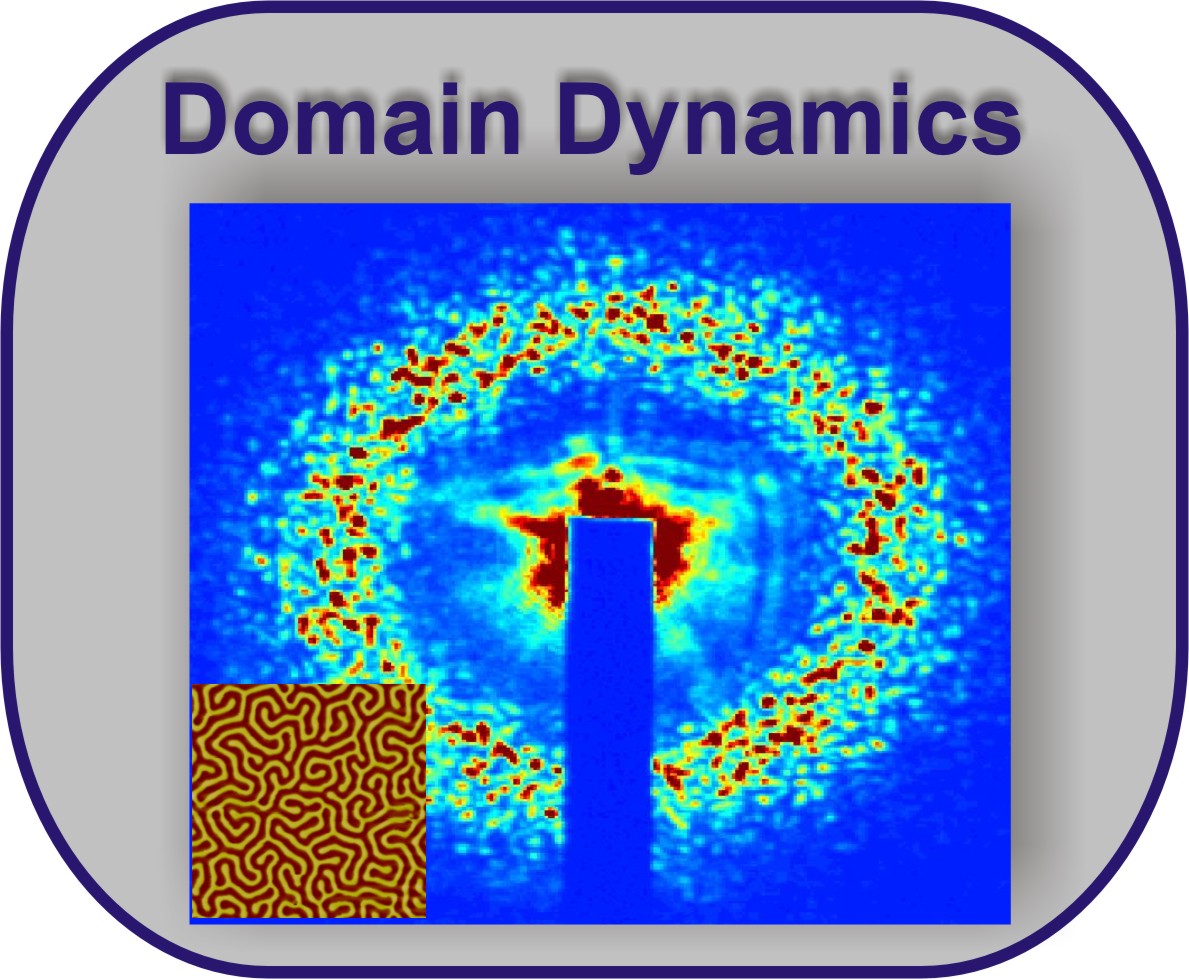 domaindynamics