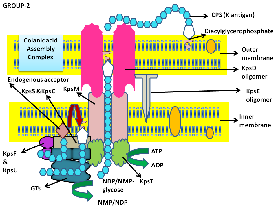 group-2 image